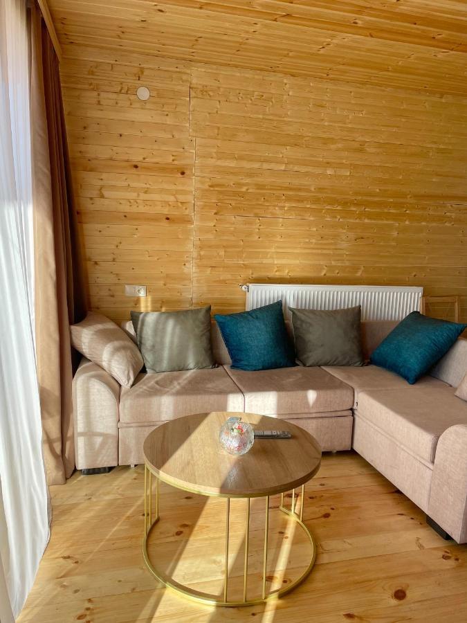 Twin Cottages Kazbegi Eksteriør billede